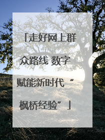 走好网上群众路线 数字赋能新时代“枫桥经验”