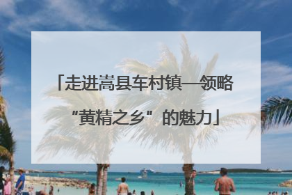 走进嵩县车村镇—领略“黄精之乡”的魅力