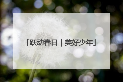 跃动春日｜美好少年