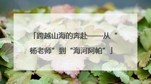跨越山海的奔赴——从“杨老师”到“海河阿帕”