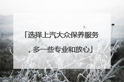 选择上汽大众保养服务，多一些专业和放心