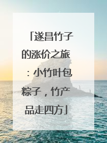 遂昌竹子的涨价之旅：小竹叶包粽子，竹产品走四方