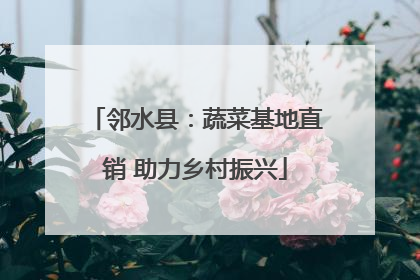 邻水县：蔬菜基地直销 助力乡村振兴