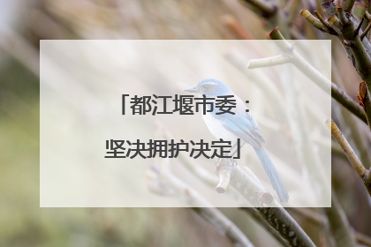 都江堰市委：坚决拥护决定