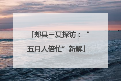 郏县三夏探访：“五月人倍忙”新解