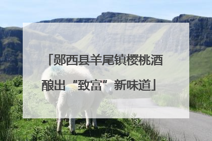 郧西县羊尾镇樱桃酒酿出“致富”新味道