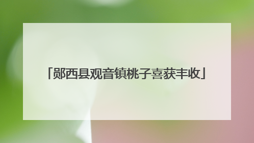郧西县观音镇桃子喜获丰收