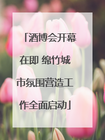酒博会开幕在即 绵竹城市氛围营造工作全面启动