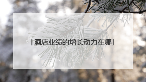 酒店业绩的增长动力在哪