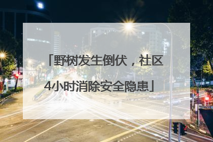 野树发生倒伏，社区4小时消除安全隐患