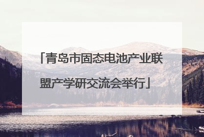 青岛市固态电池产业联盟产学研交流会举行