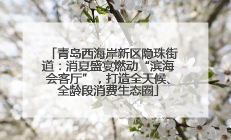 青岛西海岸新区隐珠街道：消夏盛宴燃动“滨海会客厅”，打造全天候、全龄段消费生态圈