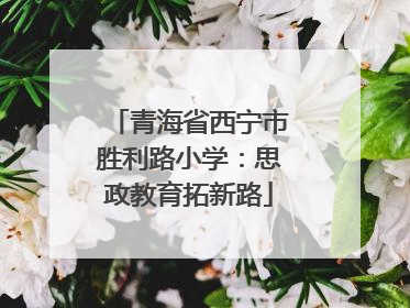 青海省西宁市胜利路小学：思政教育拓新路