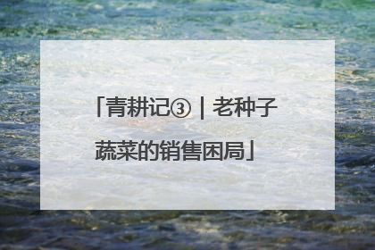 青耕记③｜老种子蔬菜的销售困局
