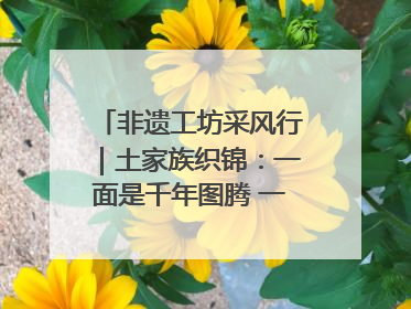 非遗工坊采风行｜土家族织锦：一面是千年图腾 一面是幸福画卷