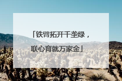 铁臂拓开千垄绿，联心育就万家金