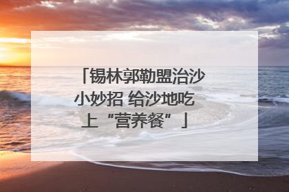 锡林郭勒盟治沙小妙招 给沙地吃上“营养餐”
