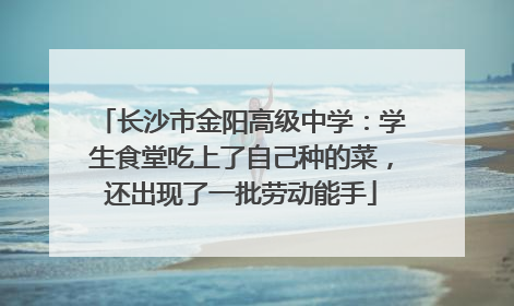 长沙市金阳高级中学：学生食堂吃上了自己种的菜，还出现了一批劳动能手
