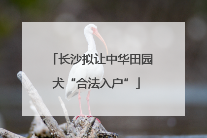 长沙拟让中华田园犬“合法入户”