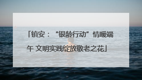 镇安：“银龄行动”情暖端午 文明实践绽放敬老之花
