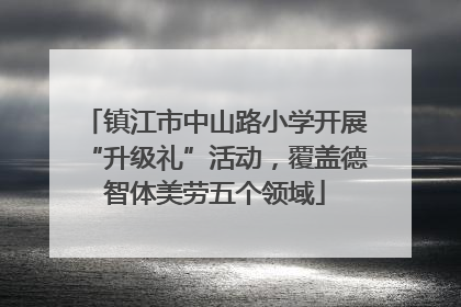 镇江市中山路小学开展“升级礼”活动，覆盖德智体美劳五个领域