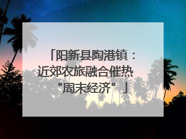 阳新县陶港镇：近郊农旅融合催热“周末经济”