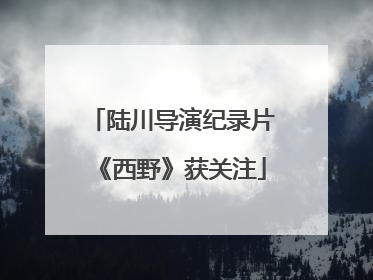 陆川导演纪录片《西野》获关注