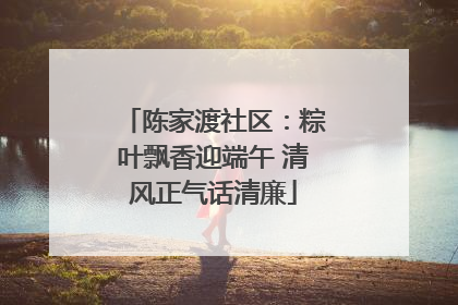 陈家渡社区：粽叶飘香迎端午 清风正气话清廉