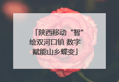 陕西移动“智”绘双河口镇 数字赋能山乡蝶变