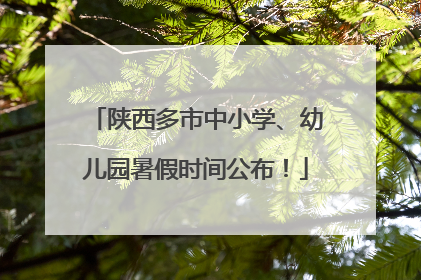 陕西多市中小学、幼儿园暑假时间公布！