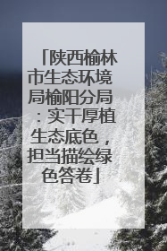 陕西榆林市生态环境局榆阳分局：实干厚植生态底色，担当描绘绿色答卷