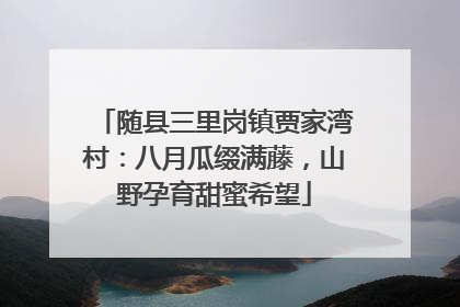 随县三里岗镇贾家湾村：八月瓜缀满藤，山野孕育甜蜜希望