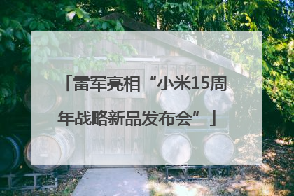 雷军亮相“小米15周年战略新品发布会”