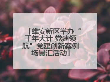 雄安新区举办“千年大计 党建领航”党建创新案例场景汇活动