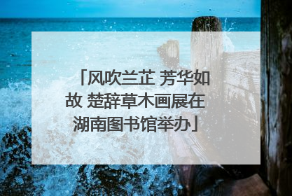 风吹兰芷 芳华如故 楚辞草木画展在湖南图书馆举办