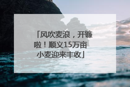 风吹麦浪，开镰啦！顺义15万亩小麦迎来丰收