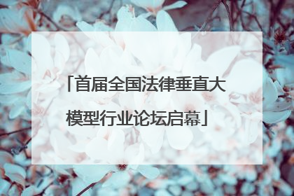 首届全国法律垂直大模型行业论坛启幕