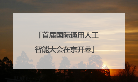首届国际通用人工智能大会在京开幕