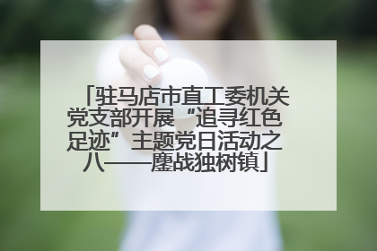 驻马店市直工委机关党支部开展“追寻红色足迹”主题党日活动之八——鏖战独树镇