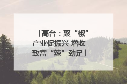 高台：聚“椒”产业促振兴 增收致富“辣”劲足