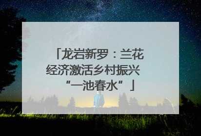 龙岩新罗：兰花经济激活乡村振兴“一池春水”