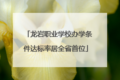 龙岩职业学校办学条件达标率居全省首位
