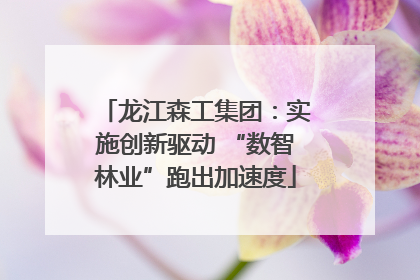 龙江森工集团：实施创新驱动 “数智林业”跑出加速度