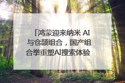 鸿蒙迎来纳米 AI 与仓颉组合，国产组合拳重塑AI搜索体验｜新经济观察