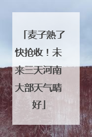 麦子熟了快抢收！未来三天河南大部天气晴好