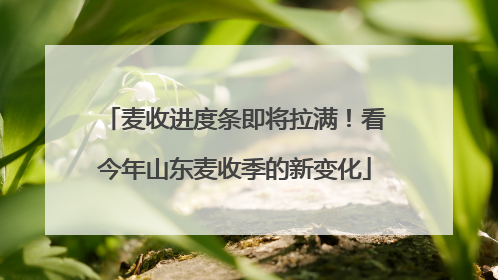 麦收进度条即将拉满！看今年山东麦收季的新变化