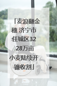 麦浪翻金穗 济宁市任城区32.28万亩小麦陆续开镰收割