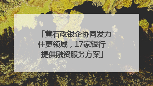 黄石政银企协同发力住更领域，17家银行提供融资服务方案