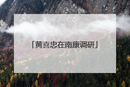 黄喜忠在南康调研