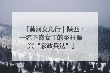 黄河女儿行｜陕西：一名下岗女工的乡村振兴“家政兵法”